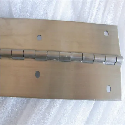 Stainless Long Hinge Curtain Wall Hinge