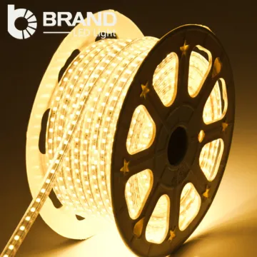 Factory EXW Price cheap Ce rohs warm RGB AC220V luce di striscia principale