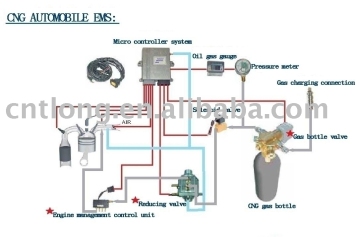 LPG/CNG/LNG gas bottle valve