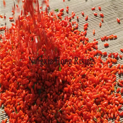dried bio la baie de goji berry wolfberry
