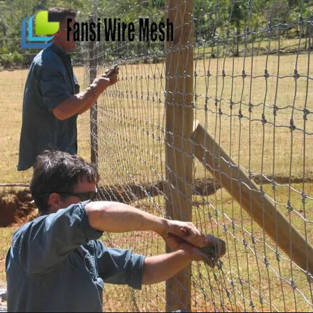 Farm Guard Metal Wire Mesh - Galvanized Grip Lock Wire Netting/Fencing