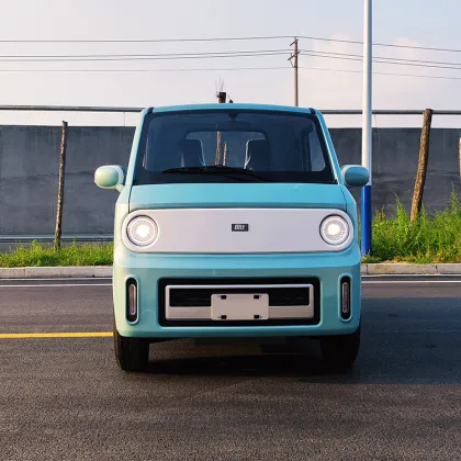 Fast Charge 2-Seater Electric Mini Pickup Truck
