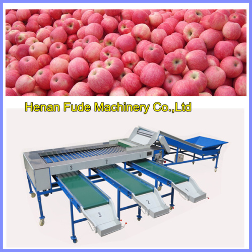 apple grading machine, mango sorting machine