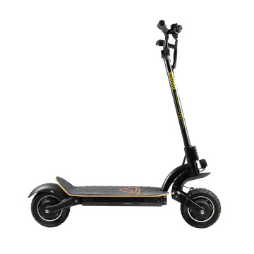 Scooter eléctrico de motor dual personalizado 2000W