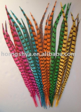 Dyed Ringneck pheasant tail