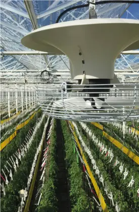 Variable Speed Circulation vertical air circulation fan