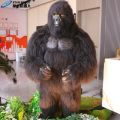 Gorila animatronik menari kelas atas