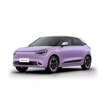Budget-Friendly Nano 01 2024 Electric Mini SUV