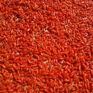 offer 2017 dried goji berry low pesticide goji berry wolfberry