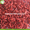 Bacche di Goji standard rosso essiccato eu all&#39;ingrosso