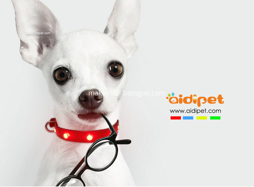 Flashing Led Pet Dog Collar Flashing Led Pet Dog Collar