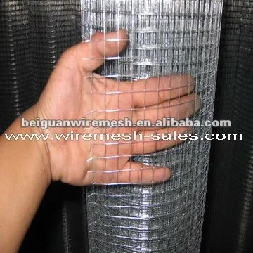 Hot-dip Galvanized Welded Wire Mesh (Direct Factory)
