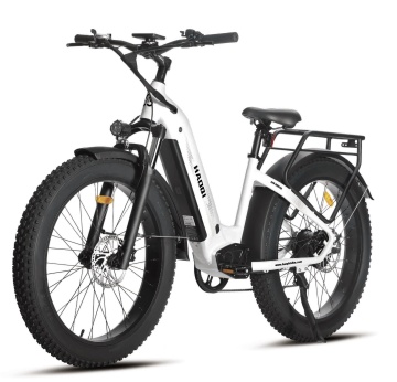 Eagle 48V 20Ah Fat Tire Electric Bike