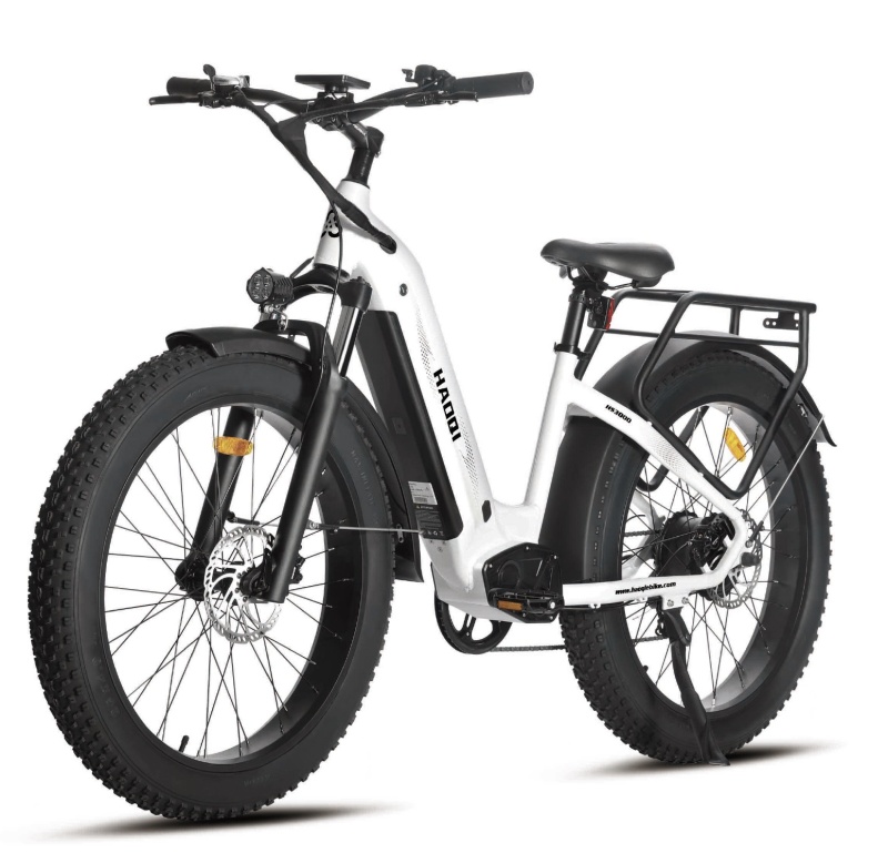 Eagle 48V 20Ah Fat Tire Electric Bike