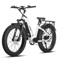 Bicicleta eléctrica Eagle 48V 20Ah Fat Tire