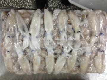 size 3-5 high quality baby squid