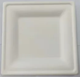 Disposable Paper Plate for BBQ, Picnic, Camping