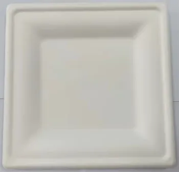 Disposable Paper Plate for BBQ, Picnic, Camping
