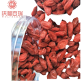 Wholesale New Harvest GMP Factory goji berries