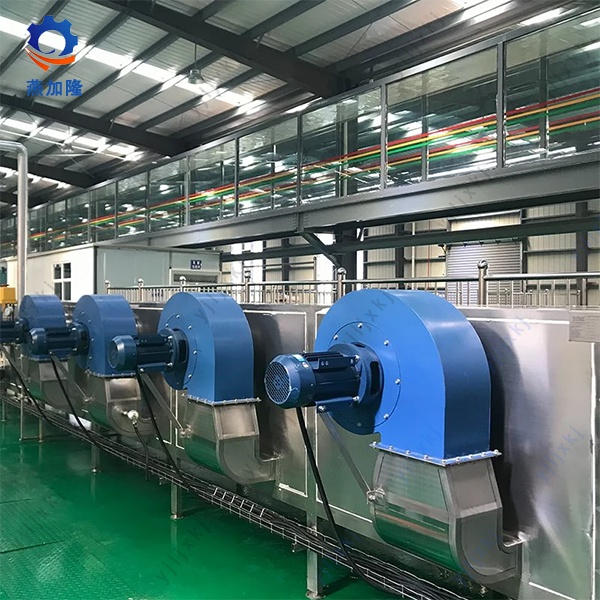 Mesh Belt Dryer for Particle Feed