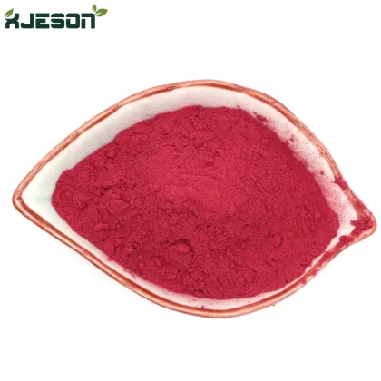 Cranberry Powder Cranberry Extract 25% Proanthocyanidin