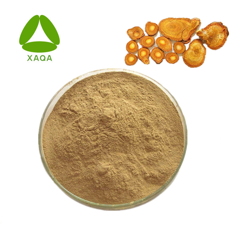 Polygonum Cuspidatum Extract Resveratrol 98% Powder