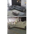 Gray Color New Model Living Room Sofa