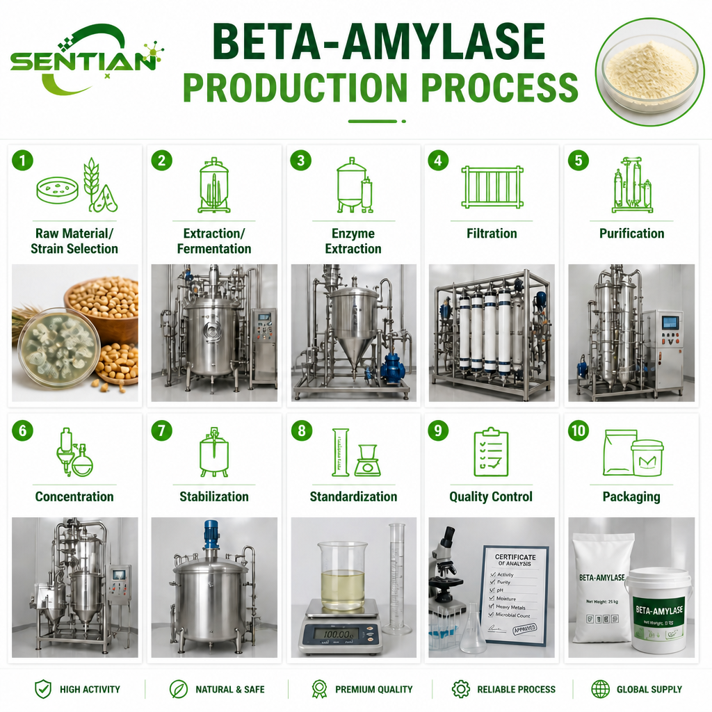 Beta-amylase1
