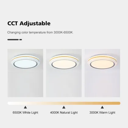 Smart Voice-Controlled Dimmable LED Ceiling Light