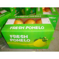 pomelo fresco fujian con caja abierta