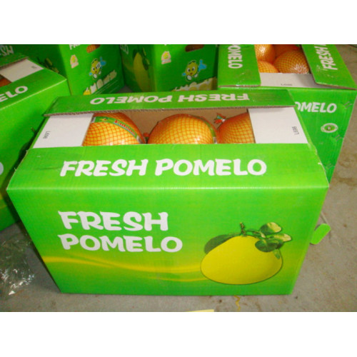 fujian buah pomelo segar dengan kotak terbuka