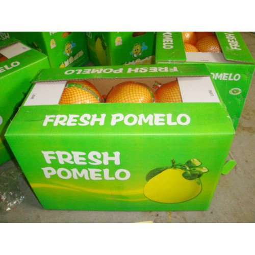 pomelo fresco fujian con caja abierta