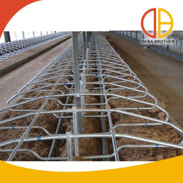 Heat Insulation Solutions for Cow Free Stalls