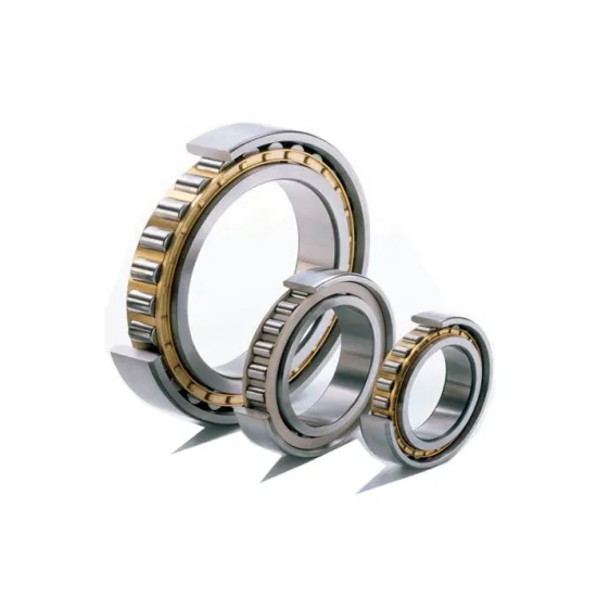 Hot Deals on Original Brand Cylindrical Roller Bearings: NU2203 to NU2210