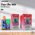 Snow Box Vape 9000 Puff