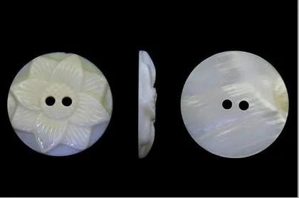 Different Types Of flower shell button