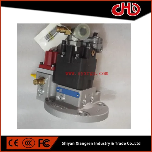 Cummins Qsm Ism Fuel Pump 3090942 3417674, berkualiti tinggi Cummins