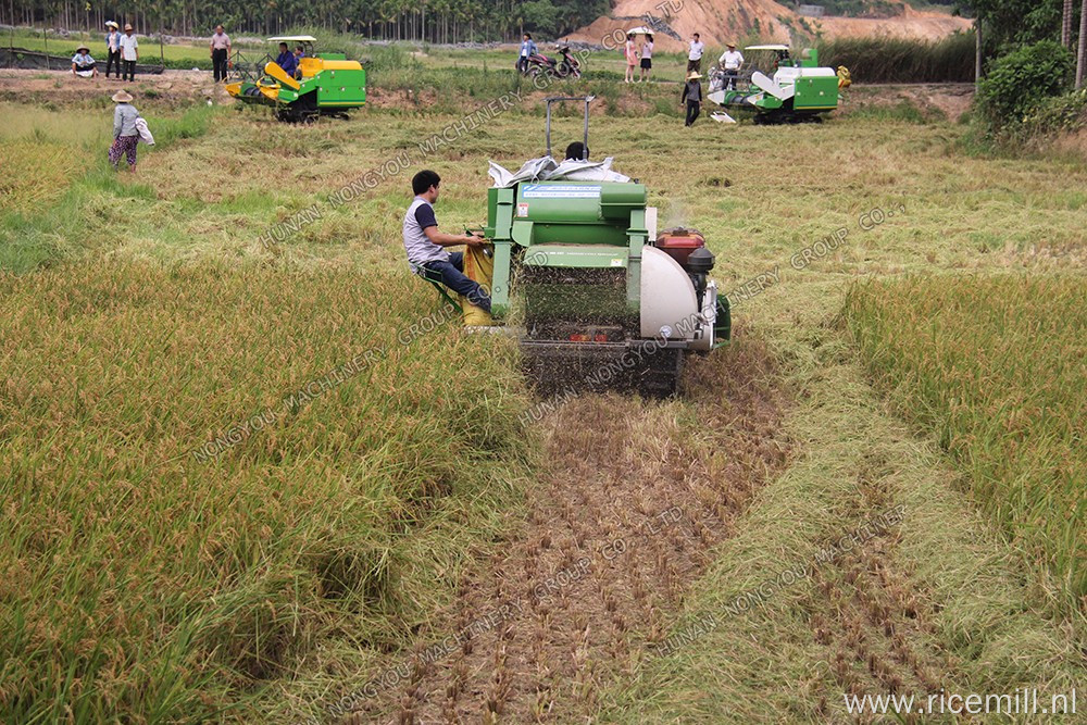 Rubber track rice combine harvester