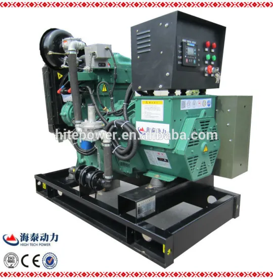 China manufacturer wholesale biomass gasifier generator