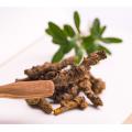 Coptis Chinensis Root Extract Sale