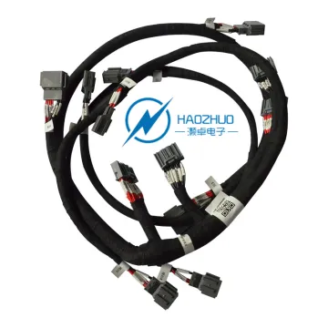 Custom Electric Wire Harness Assembly for Truck Trailer and Engine Wiring Harness