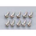 Stainless Self Tapping Screws