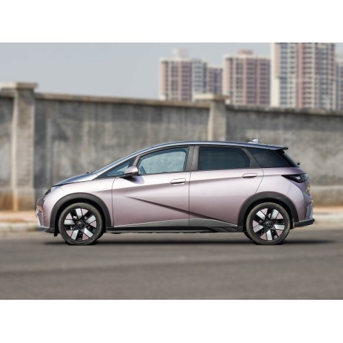 2025 BYD Dolphin 520 km Knight Edition