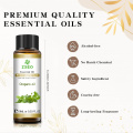 Pure Oregano Oil Oregano Oil COA Certificado Certificado 100% Natural Essential Etiqueta Private Greek Wild OEM ODM Oil