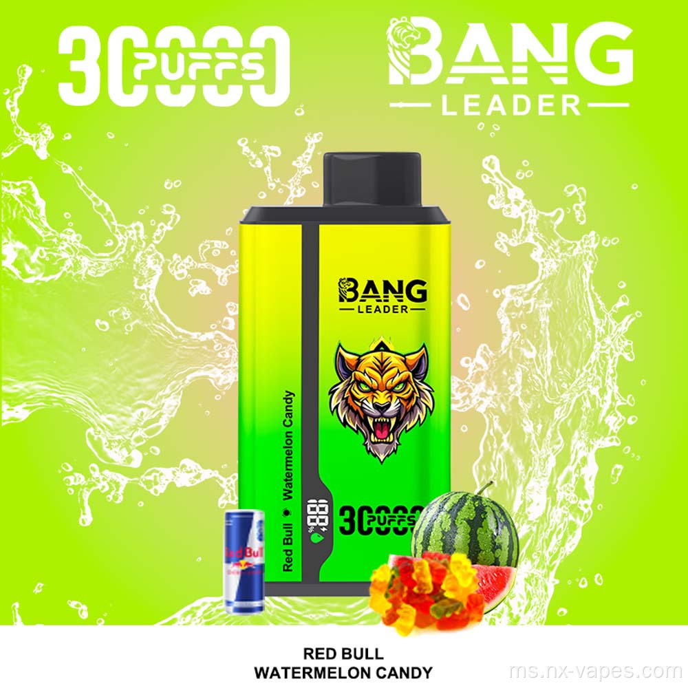 Bang Leader 30000 Dual Flavors Vape