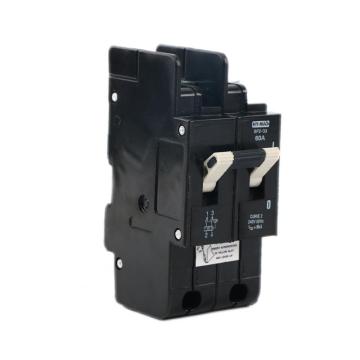 60 AMP Circuit Breaker 2P MCB Switch