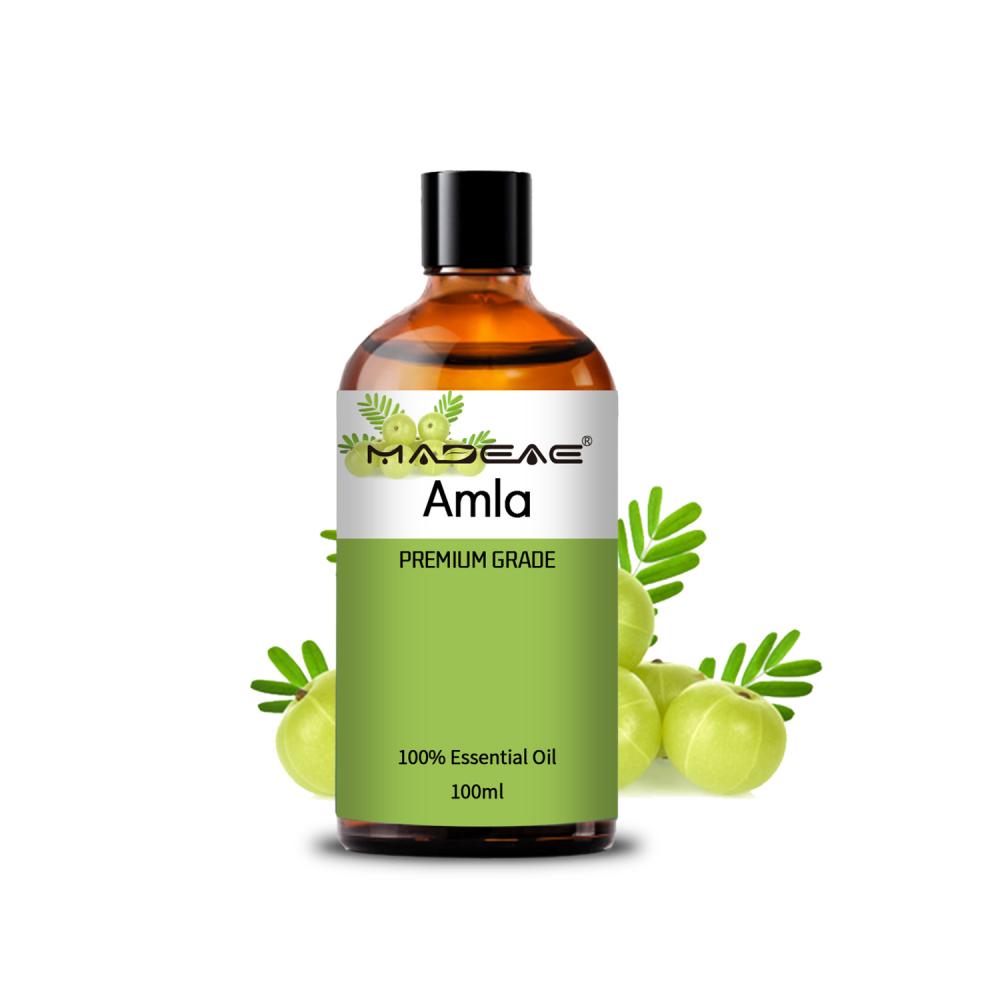 Best Quality Wholesale Supply 100% Pure Natural Organic Amla Essential Oil