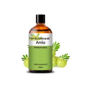 Suministro al por mayor de calidad 100% PURO Natural Amla esencial Aceite esencial