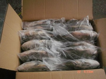 Frozen Tilapia Fish Oreochromis Niloticus With Good Price