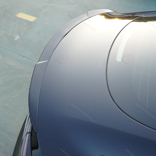 Tesla Model 3 tail wing